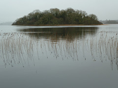 Lough Cutra - Jan 2013