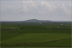 Brent Knoll