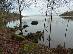 Lough Cutra, Galway, Ireland - Jan 2013