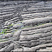 beach strata