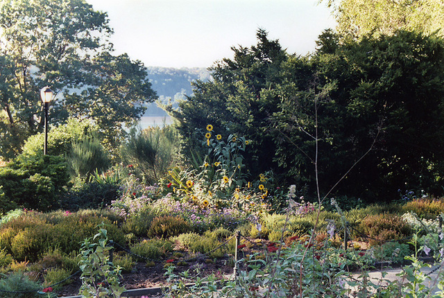The Heather Garden in Fort Tryon Park, Oct. 2006