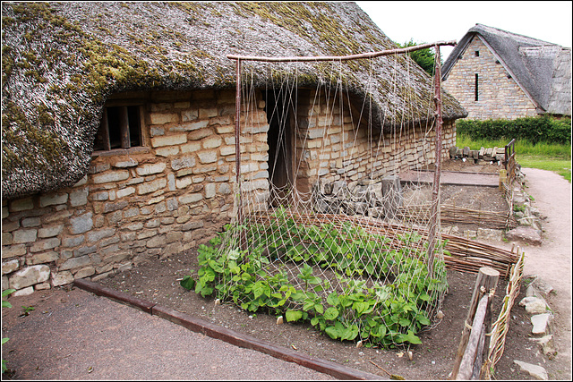 Cottage garden