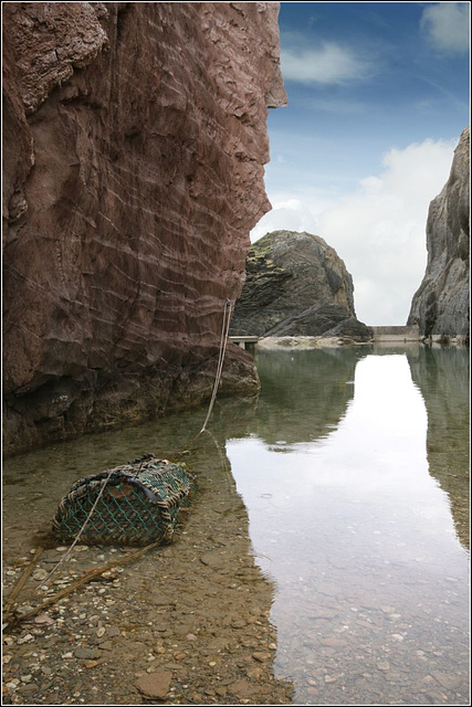 The Mermaid Pool