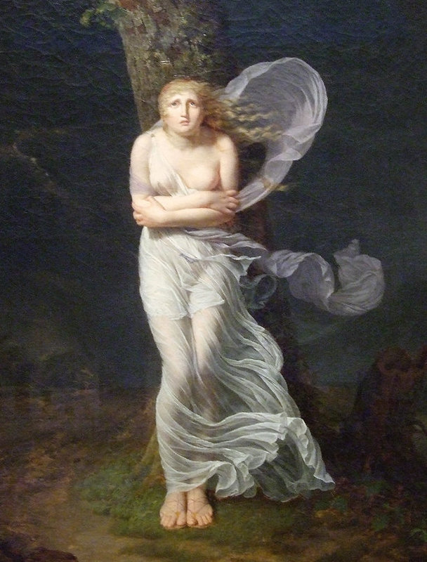 Detail of Young Woman Overtaken by a Storm by Bonnemaison in the Brooklyn Museum, January 2010