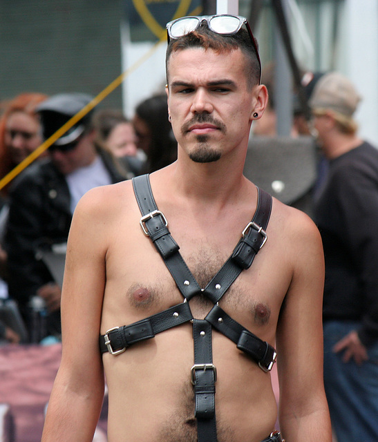 Dore Alley 2013 (3051)