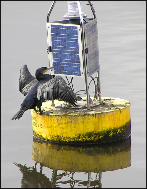 drying out