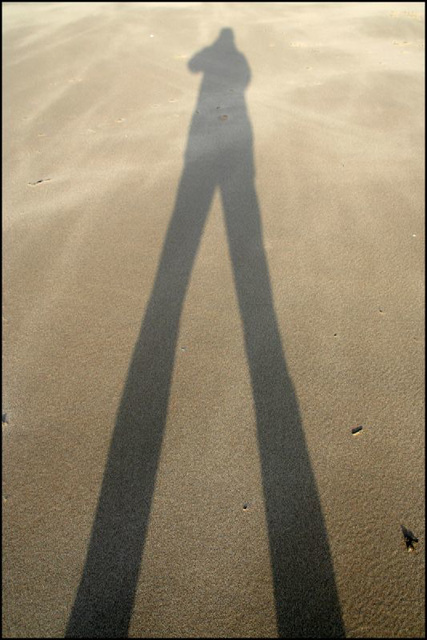 long tall shadow