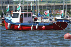 Welsh Flags