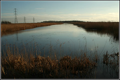 Waterbirds Runway