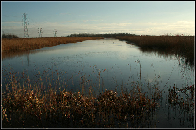 Waterbirds Runway