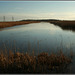 Waterbirds Runway