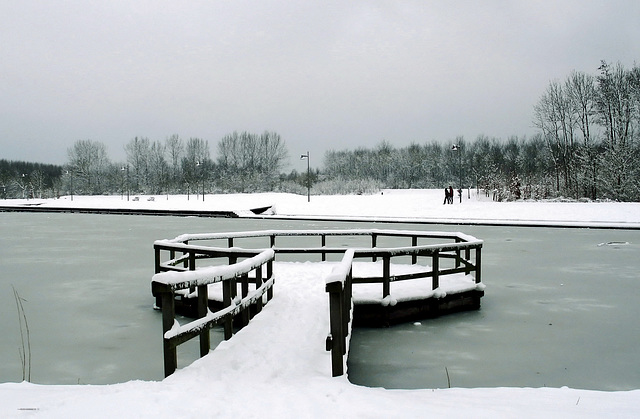 Isolation, The Netherlands