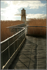 Floating walkway