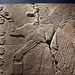 Detail of a Eagle-Headed Genie Between Two Sacred Trees Relief in the Brooklyn Museum, August 2007