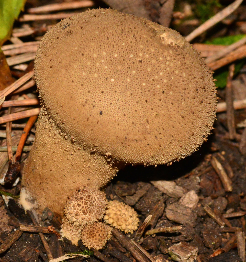 DSC 0059