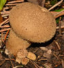 DSC 0059