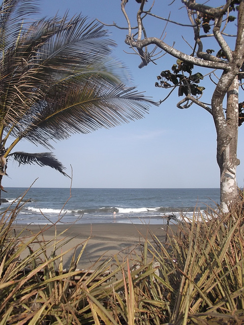 Plage sauvage des tropiques / Tropical southern beach