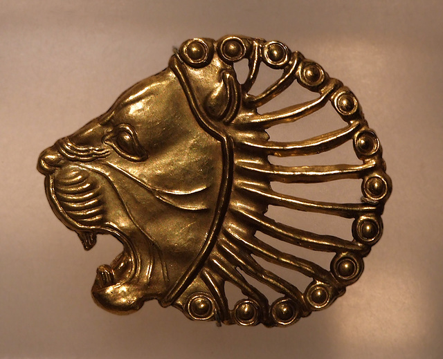 Head of a Snarling Lion in the Brooklyn Museum, January 2010