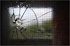 Security glass