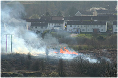 Bush Fire!! (in Merthyr)