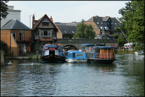 Salters Steamers at Folly Bridge