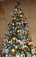 Christmas Tree inside the Onassis Center, January 2008