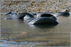 Tyres bathing