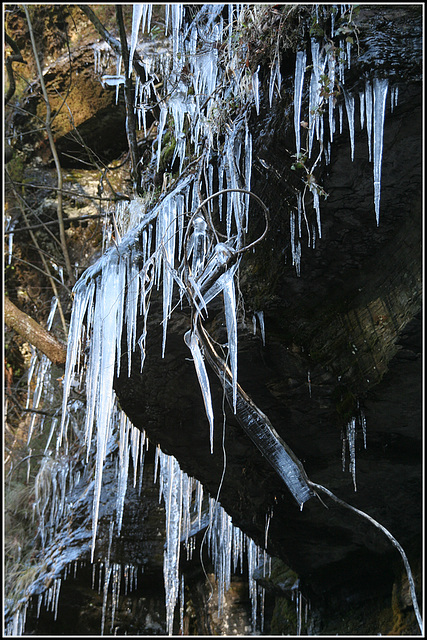 icicle tree