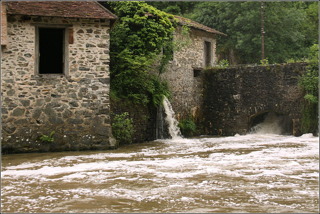 Savignac dédrier