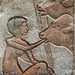 Detail of the Feeding Calves Relief in the Brooklyn Museum, January 2010