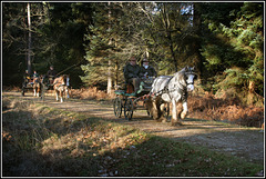 Carriageway