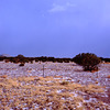 Hail in the desert