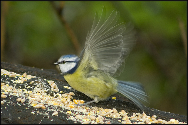 In a flap