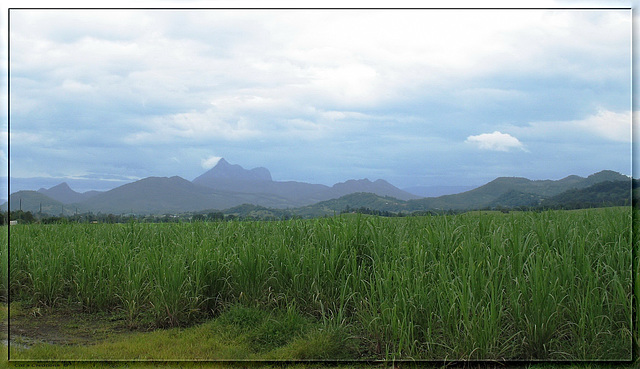 Across The Fields, To The Mountains