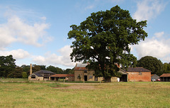 3. Park Farm, Henham, Suffolk from South