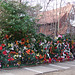 House with Artificial Flowers in Forest Hills Gardens, January 2008