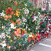 House with Artificial Flowers in Forest Hills Gardens, January 2008