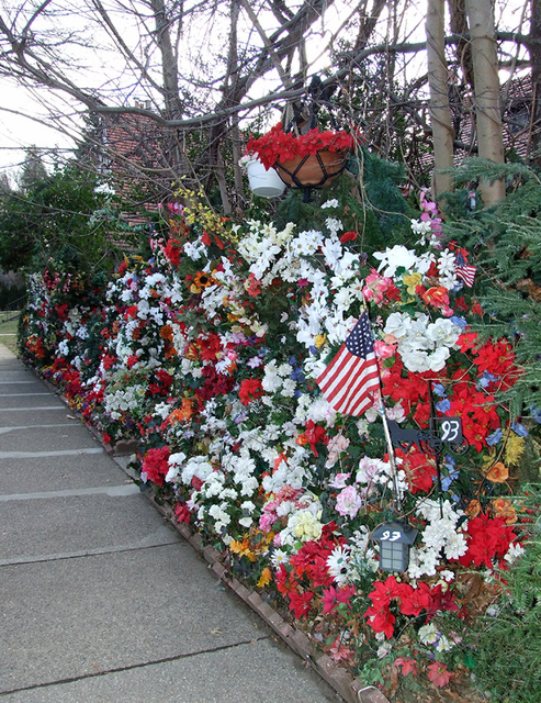 House with Artificial Flowers in Forest Hills Gardens, January 2008
