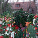 House with Artificial Flowers in Forest Hills Gardens, January 2008