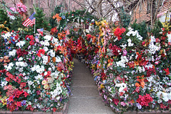 House with Artificial Flowers in Forest Hills Gardens, January 2008