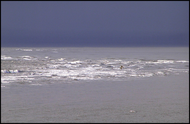 Nash Point Sandbank