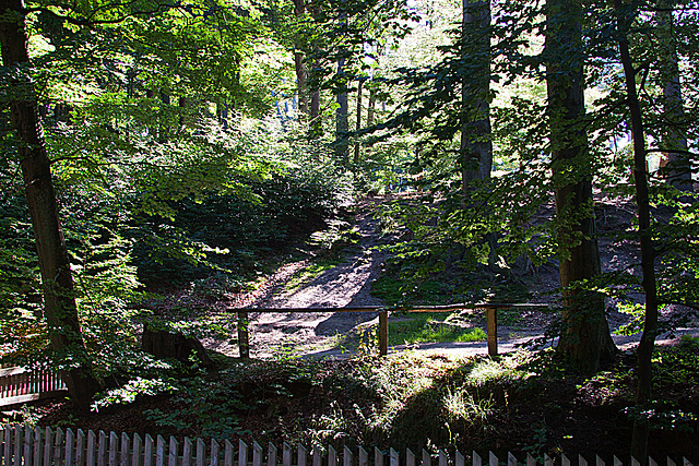 20130721 2559RAw [D~LIP] Donoperteich, Detmold-Pivitsheide