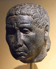 Head of a Mature Man in the Brooklyn Museum, January 2010