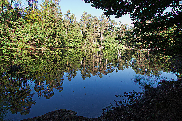 20130721 2567RWw Donoperteich