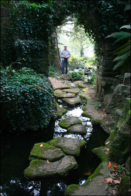 stepping stones