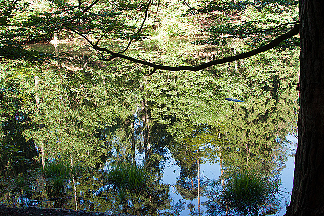 20130721 2569RAw Donoperteich