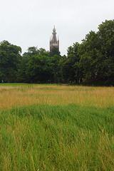 herbejo kun preĝejo (Wiese mnit Kirche)