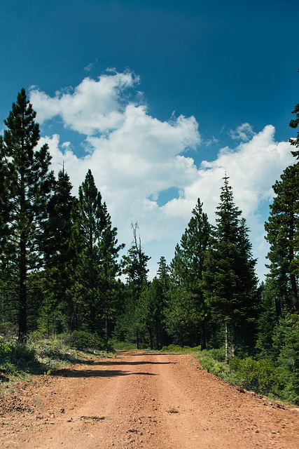 Road to Herd Peak Lookout