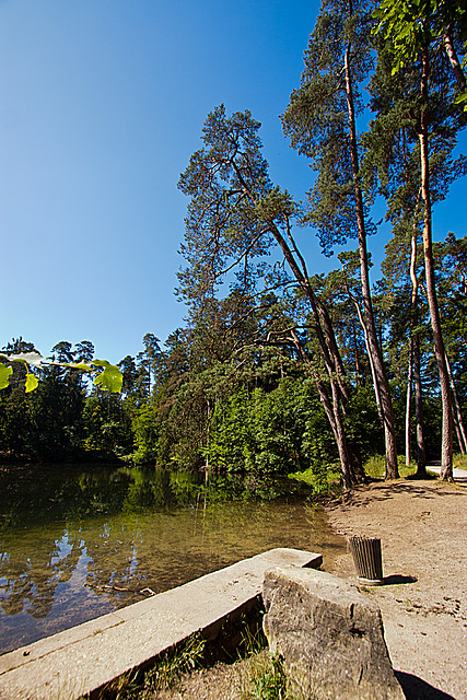 20130721 2602RWw donoperteich