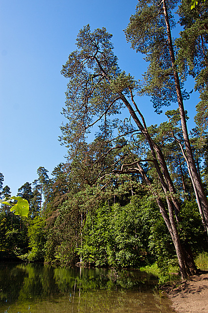 20130721 2604RWw Donoperteich